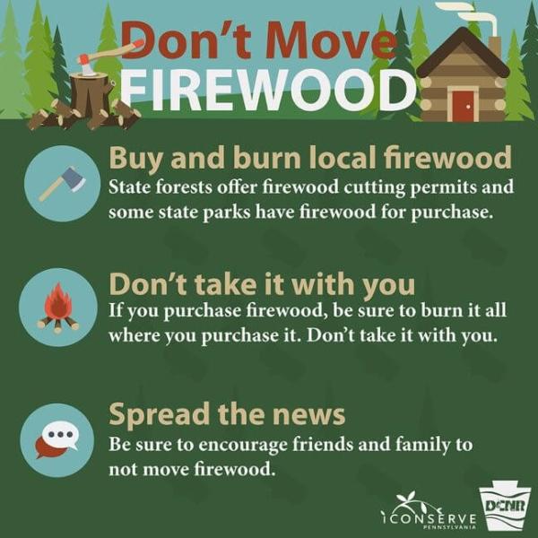 Don't Move Firewood