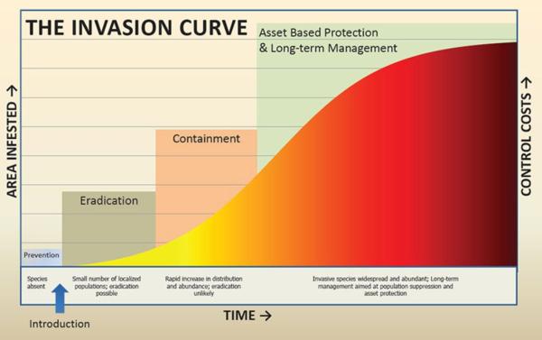 invasion curve
