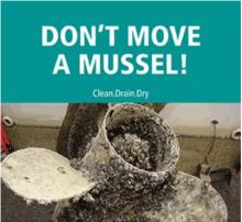 Don't Move a Mussel!