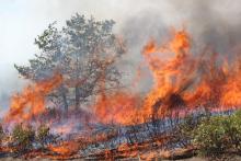 Wildland Fire - Photo by U.S. Forest Service